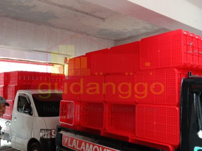 WhatsApp Image 2025-03-13 at 13.08.33