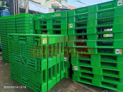 WhatsApp Image 2025-03-13 at 13.16.04